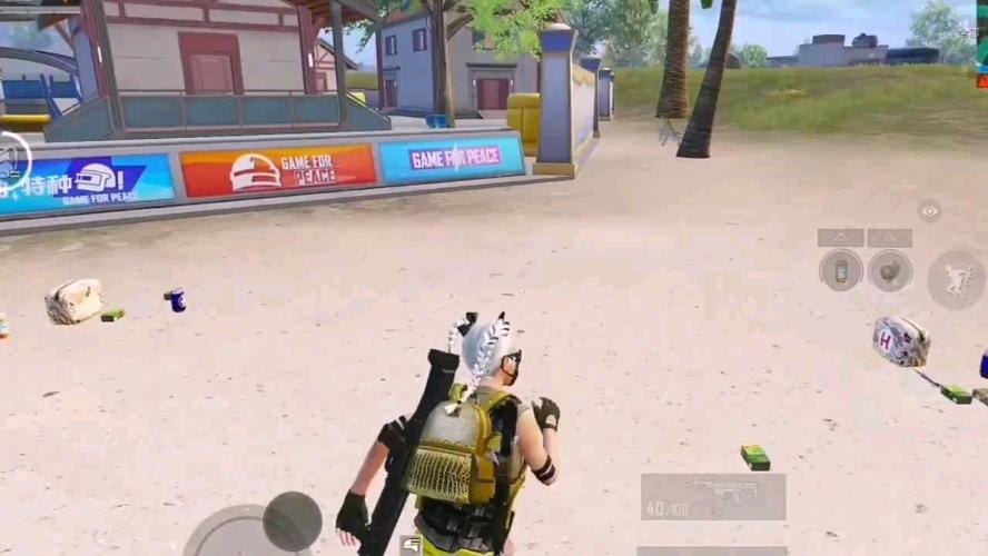 和平精英辅助【EAP+雷神】